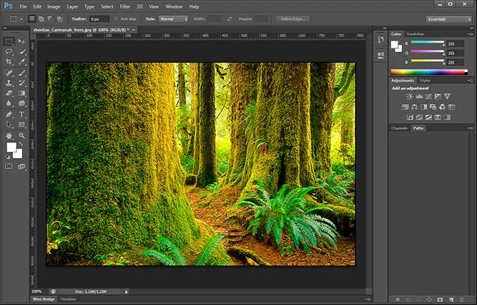 Adobe Photoshop Cs6 Free Download