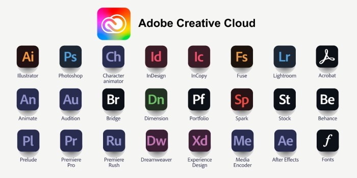 Adobe Master Collection 2025