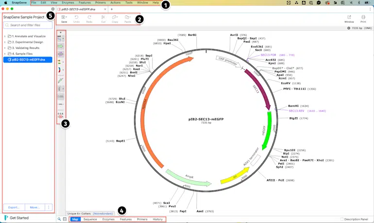 Snapgene Download