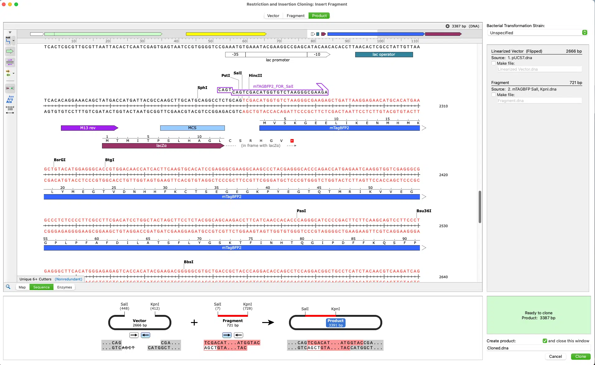 Snapgene Download