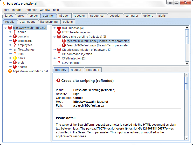 Burp Suite Professional License Key Free