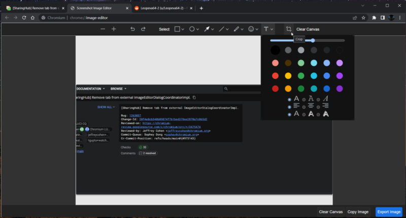 Google Chrome Canary Download