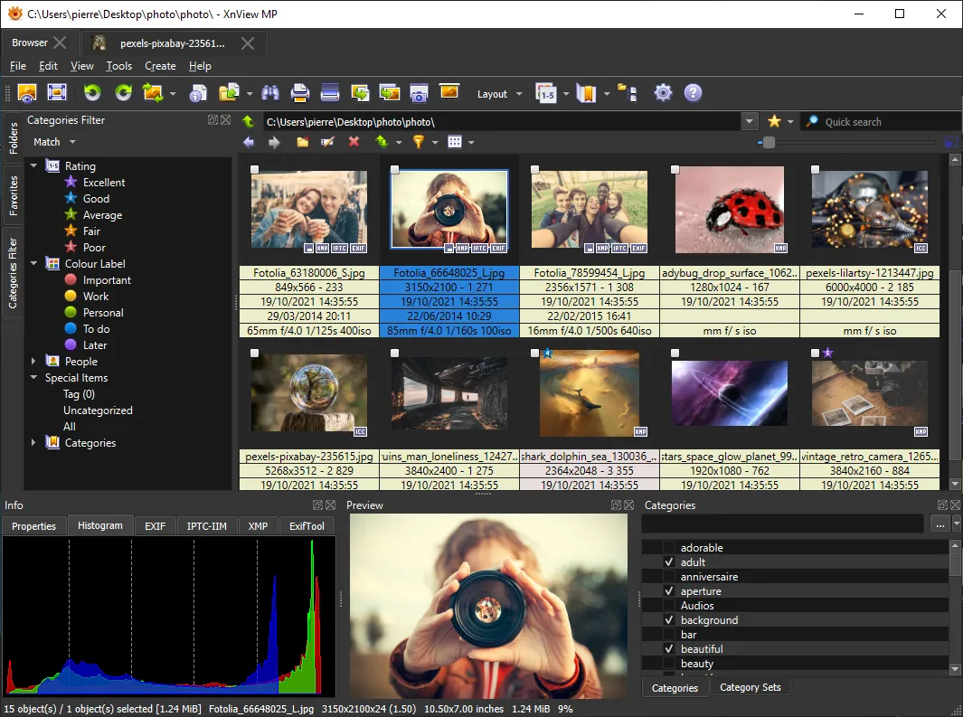 XnViewMP 