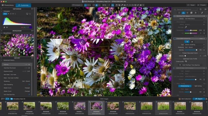 Dxo Photolab 8 Crack reddit Download