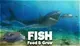 Feed And Grow Fish Download Full Game