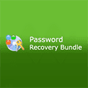 Password Recovery Bundle Enterprise 8.4.3.2 Serial Key Full Version (Windows & Mac)