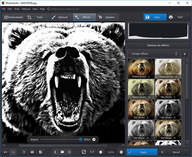 AMS Software PhotoWorks Pro