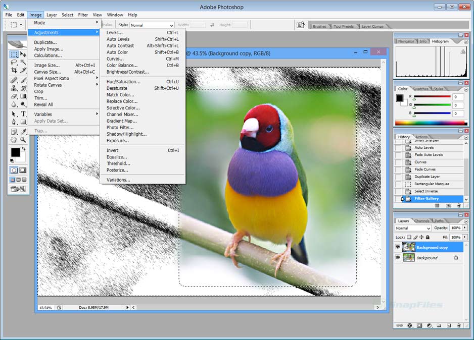 Adobe Photoshop CS2 License Key Free Crack Download