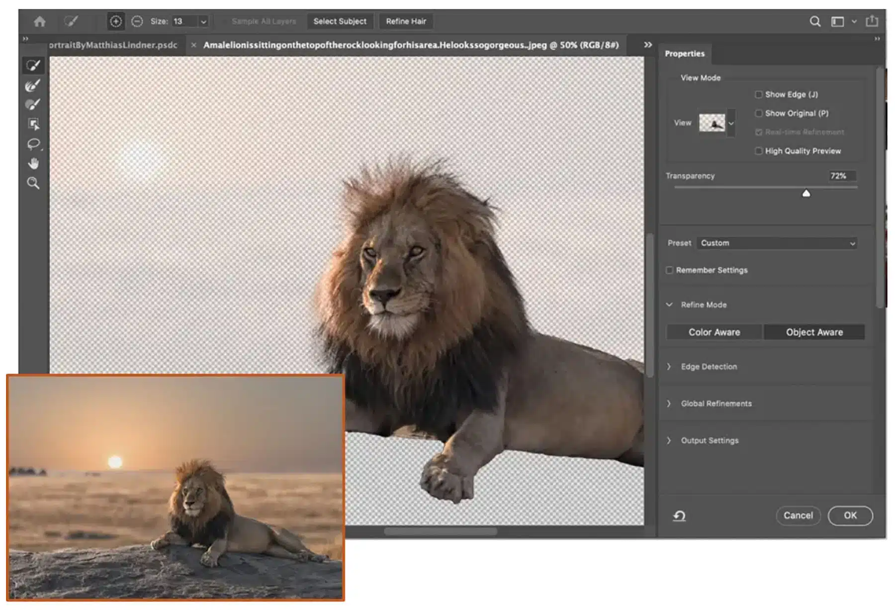 Adobe Photoshop 2021 22.5.1.441 Free Full Activated