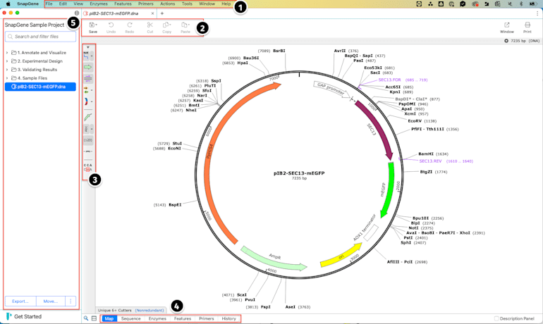 Snapgene Download
