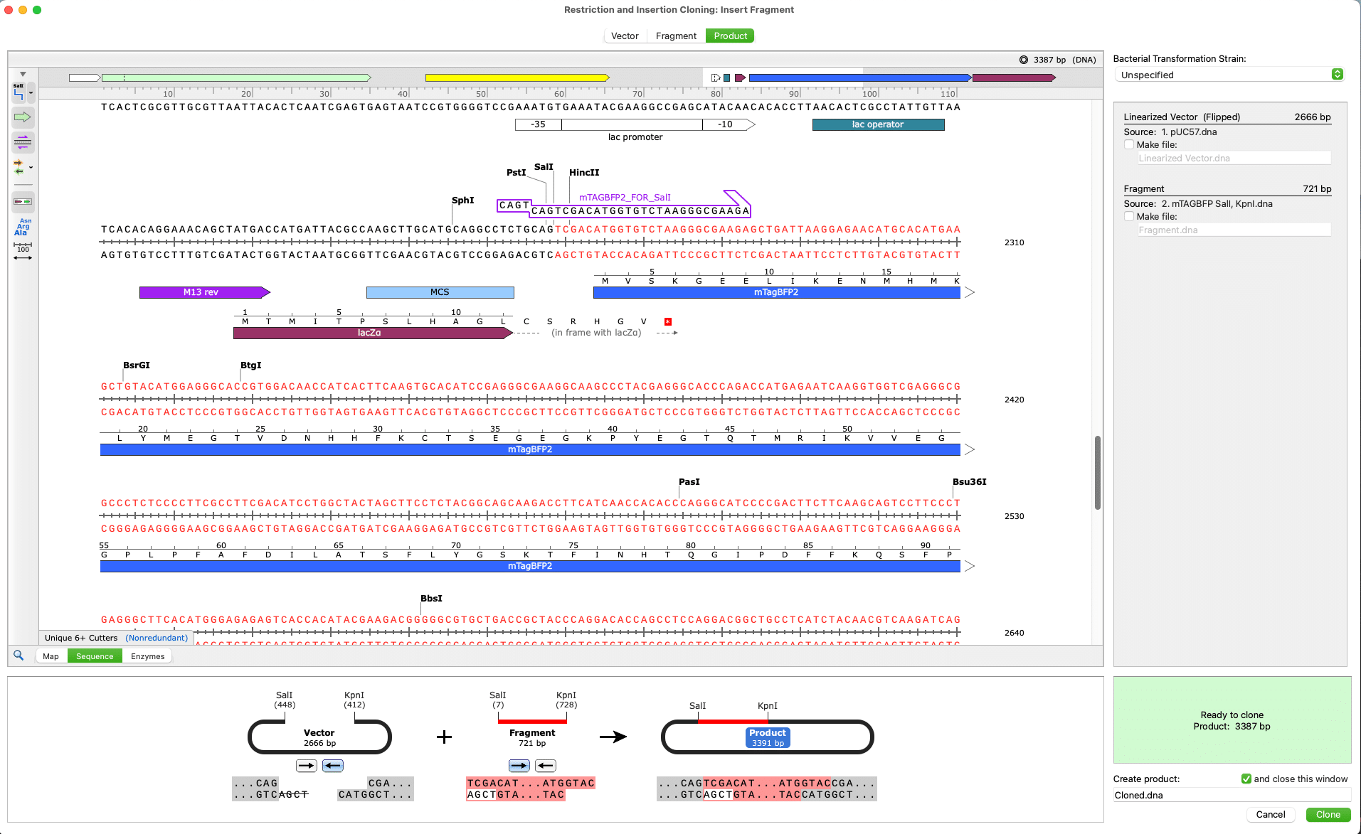 Snapgene Download