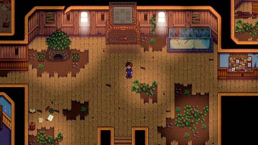 Coop Stardew Valley
