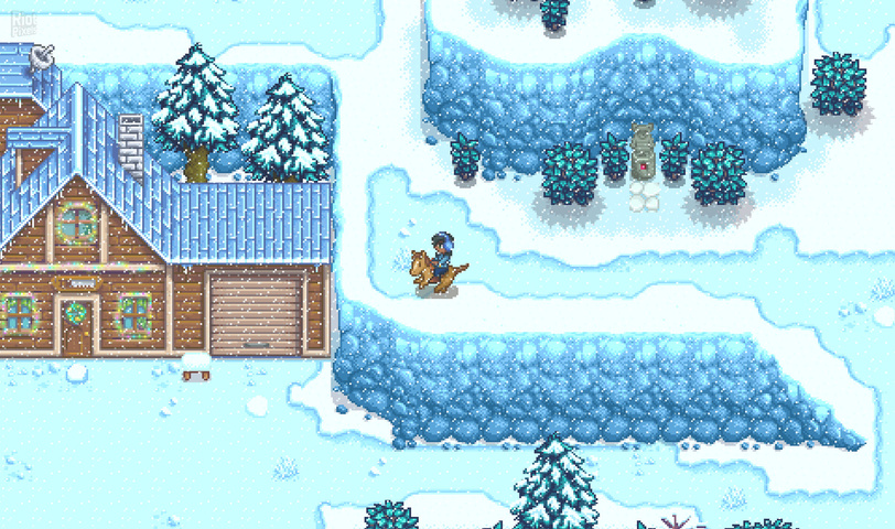 Coop Stardew Valley