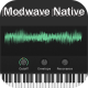 KORG Modwave Native