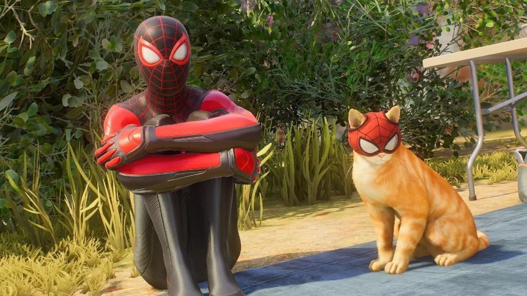 Spiderman 2 dlc