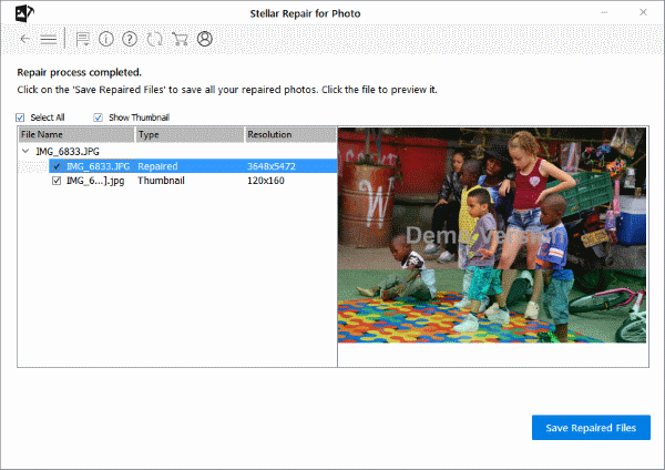 Stellar Repair for Photo