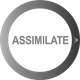 Assimilate Scratch 9.7 Crack