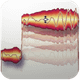 Celemony Melodyne 5 Studio