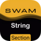 Audio Modeling SWAM String Sections Free Download