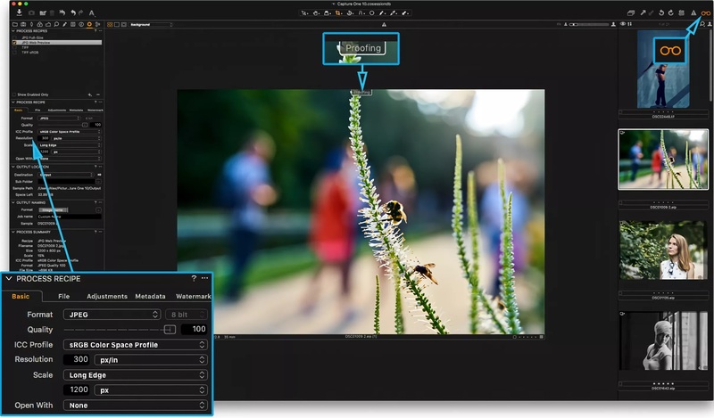 Capture One Pro Enterprise Free Download
