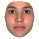 FaceGen Artist Pro Free Download