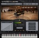 Modartt Pianoteq 9 PRO  Free Download
