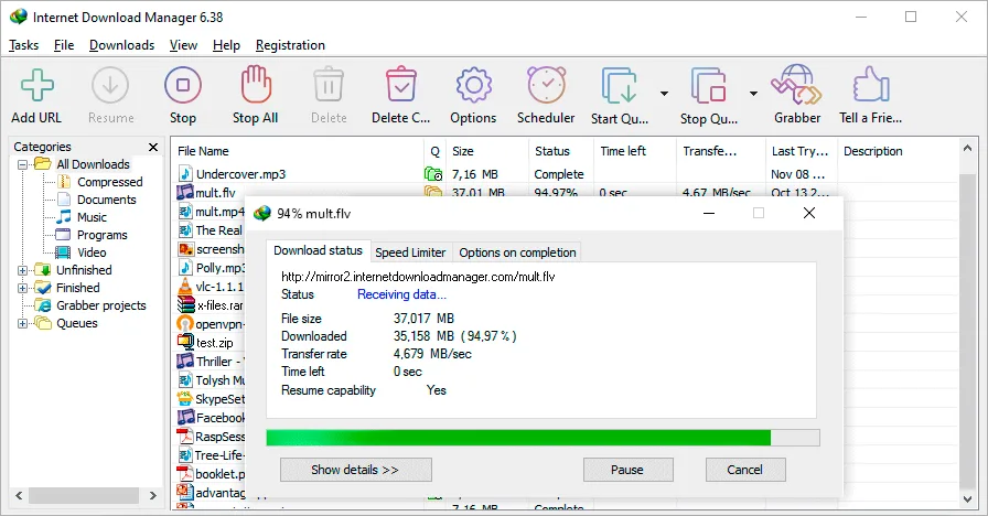 internet Download Manager Full Crack